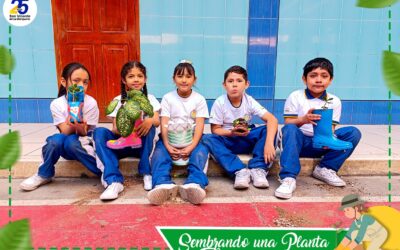 Escuela Verde: Sembramos una planta